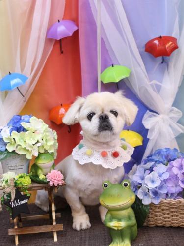 20230604ハルくん